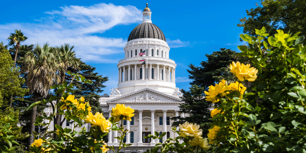 A wide shot of the California State Capitol with its large dome. The capitol is framed by gardens will blooming yellow flowers.