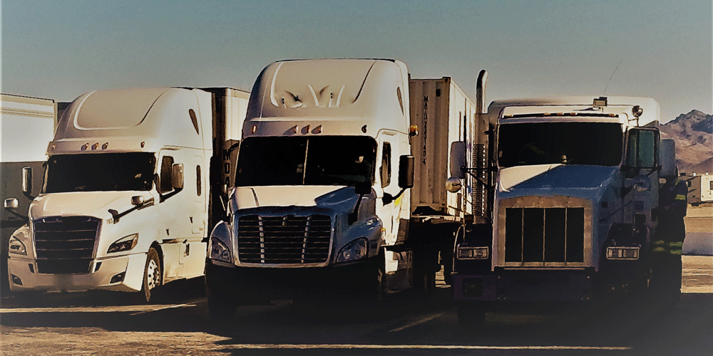 Three white trucks in a line.
