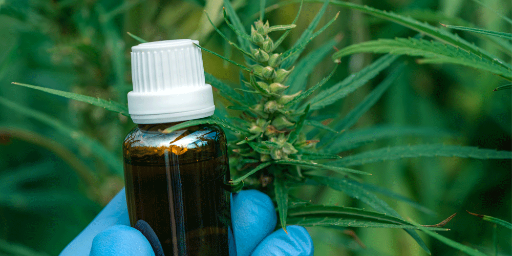 A small vial of CBD oil in front of a hemp plant.