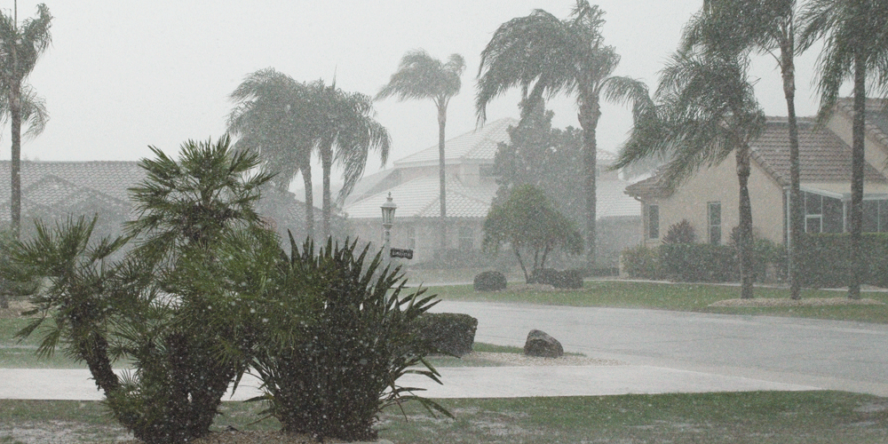 Wind and rainstorm in a suburban neighborhood surrounded by palm trees.