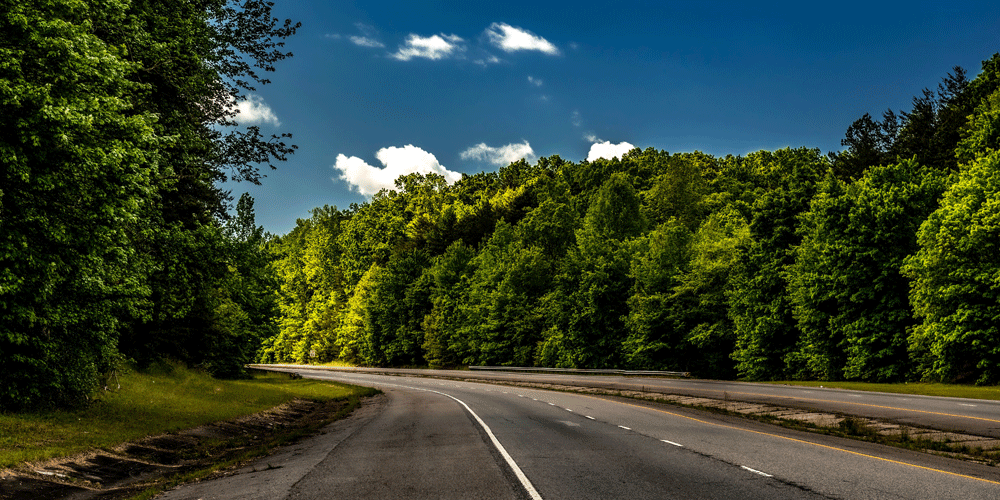 Rural freeway road surrounded by healthy green trees.
