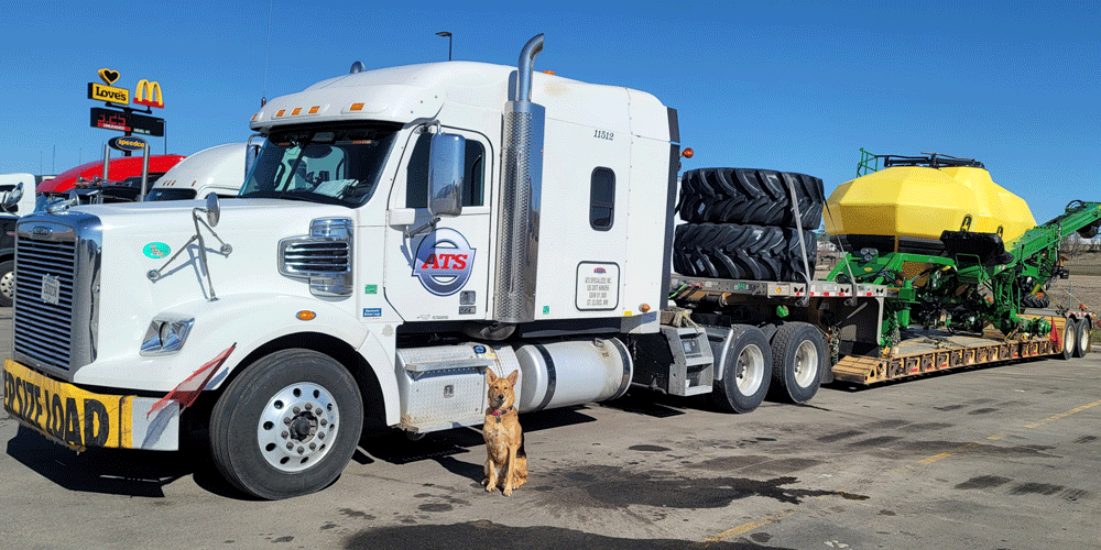 White semi-truck hauling a flatbed trailer with tires and farm equipment. A dog poses in front of the truck.